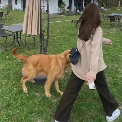 霹雳炮